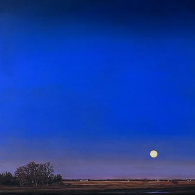 Violet Prairie Skies by Jennifer Homan
