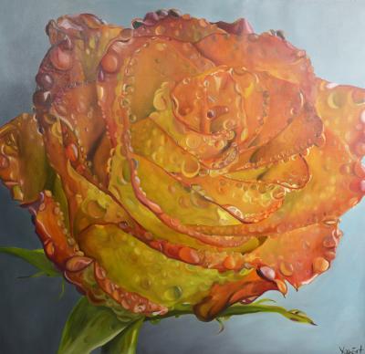 Sunset Rose by Emilia Van Ert